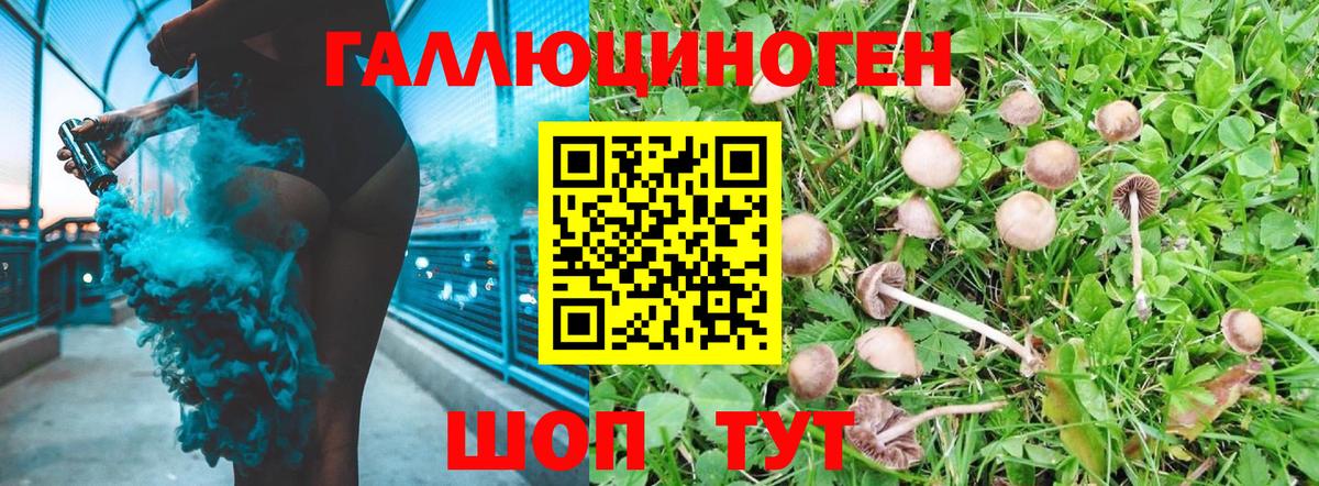 Галлюциногенные грибы Psilocybe  наркошоп  Унеча  Вход с VPN 