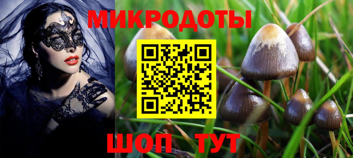 Галлюциногенные грибы Psilocybine cubensis Унеча
